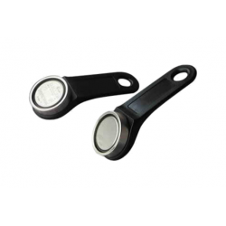 Raktas TM DS1990