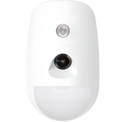 Wireless PIR-CAM Detector...