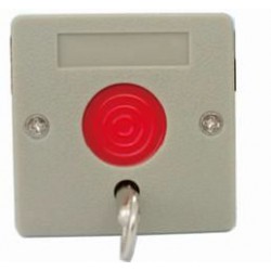 Plastic Emergency Key...