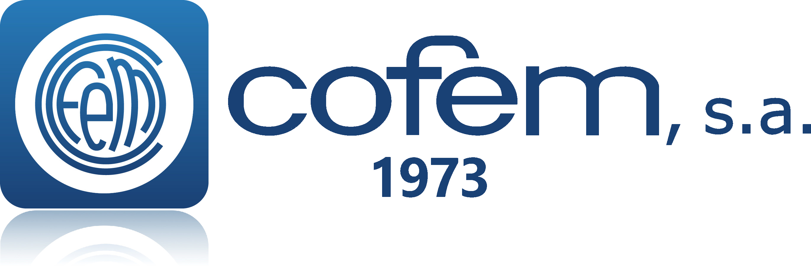 Cofem s.a.